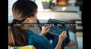 UZN币／UNIZON是什么？UZN官网、团队、白皮书介绍