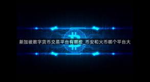 新加坡数字货币交易平台有哪些_币安和火币哪个平台大