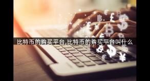 比特币的购买平台,比特币的购买平台叫什么