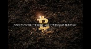 Pi币会在2023年上主网吗？马云正式布局pi币是真的吗？