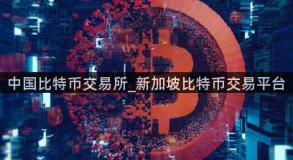 中国比特币交易所_新加坡比特币交易平台