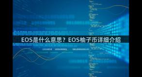 EOS是什么意思？EOS柚子币详细介绍