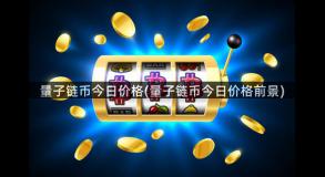 量子链币今日价格(量子链币今日价格前景)