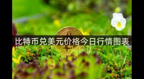 比特币兑美元价格今日行情图表