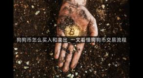 狗狗币怎么买入和卖出_一文看懂狗狗币交易流程
