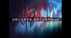 比特儿交易平台_数字币交易平台app