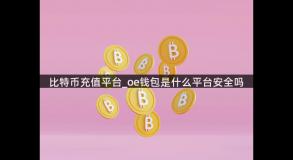 比特币充值平台_oe钱包是什么平台安全吗