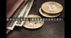 数字货币交易平台（哪些是靠谱的老牌交易所）