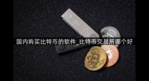 国内购买比特币的软件_比特币交易所哪个好