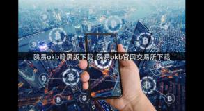 鸥易okb暗黑版下载  鸥易okb官网交易所下载