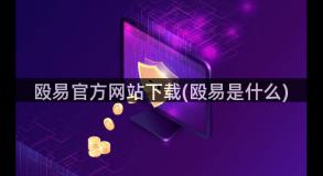 殴易官方网站下载(殴易是什么)