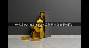 什么是MATIC？ MATIC马蹄币未来前景如何？