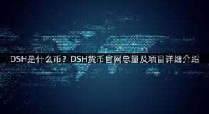 DSH是什么币？DSH货币官网总量及项目详细介绍