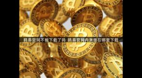 鸥易官网不能下载了吗  鸥易官网内测版在哪里下载