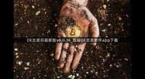 OE交易所最新版v6.0.36_国际OE交易软件app下载