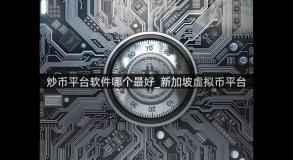 炒币平台软件哪个最好_新加坡虚拟币平台