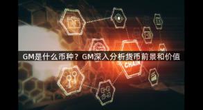 GM是什么币种？GM深入分析货币前景和价值