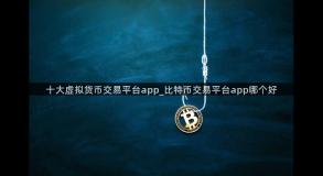 十大虚拟货币交易平台app_比特币交易平台app哪个好
