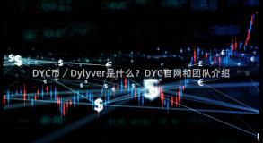 DYC币／Dylyver是什么？DYC官网和团队介绍