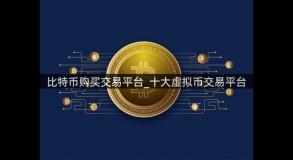 比特币购买交易平台_十大虚拟币交易平台