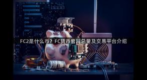 FC2是什么币？FC货币官网总量及交易平台介绍