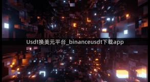 Usdt换美元平台_binanceusdt下载app