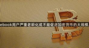 Facebook用户严重老龄化或不能促进加密货币的大规模应用