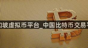 新加坡虚拟币平台_中国比特币交易平台