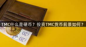 TMC什么是硬币？投资TMC货币前景如何？