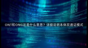 ONT和ONG这是什么意思？详细说明本体双通证模式