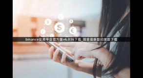 binance交易平台官方版v6.036下载_殴意最新版印度版下载