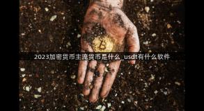 2023加密货币主流货币是什么_usdt有什么软件