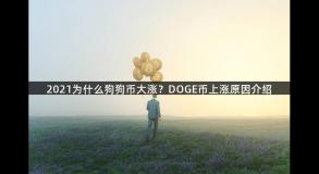 2021为什么狗狗币大涨？DOGE币上涨原因介绍
