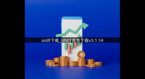 usdt下载_USDT官方下载v3.1.14