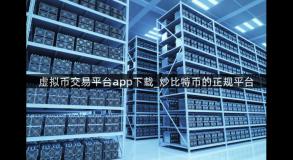 虚拟币交易平台app下载_炒比特币的正规平台