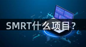 SMRT什么项目？