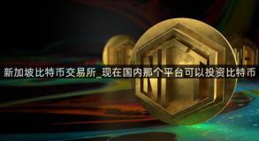 新加坡比特币交易所_现在国内那个平台可以投资比特币