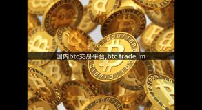 国内btc交易平台,btc trade.im