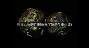 阿里cdn挖矿赚钱(挨了锤的牛王小波)