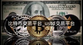 比特币交易平台_ustd交易平台