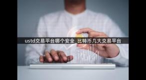 ustd交易平台哪个安全_比特币几大交易平台