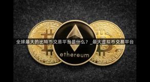 全球最大的比特币交易平台是什么？_最大虚拟币交易平台