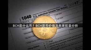 BCH是什么币？BCH货币价值及未来前景分析