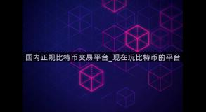国内正规比特币交易平台_现在玩比特币的平台