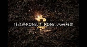 什么是RON币？ RON币未来前景