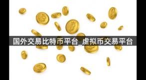 国外交易比特币平台_虚拟币交易平台