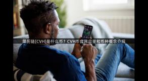简历链(CVH)是什么币？CVH币官网总量和币种概念介绍