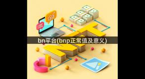 bn平台(bnp正常值及意义)