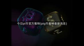 今日pi币官方推特(pig币推特最新消息)