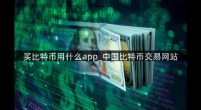 买比特币用什么app_中国比特币交易网站